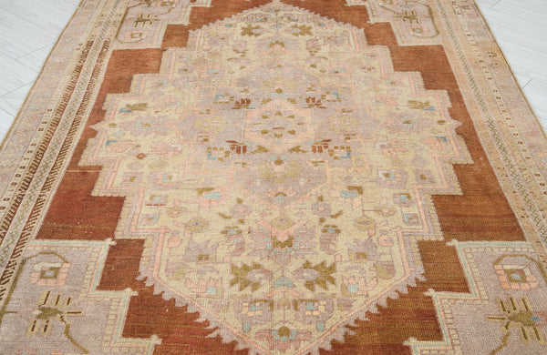Vintage Area Rug 4.9 x 10.5