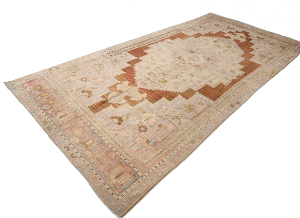 Vintage Area Rug 4.9 x 10.5